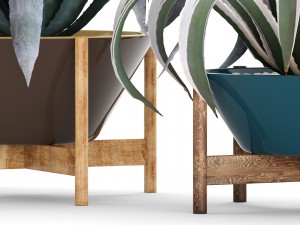 agave collection 3D Model