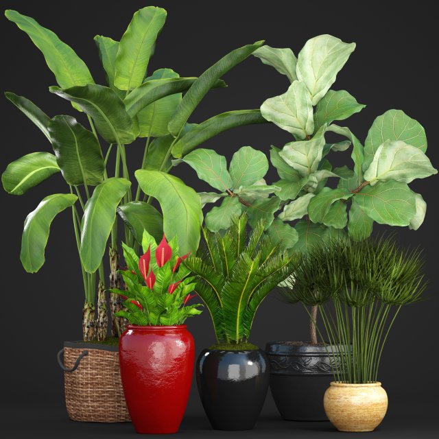 collection plants 3D Model .c4d .max .obj .3ds .fbx .stl .blend 