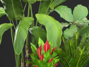 plantas de coleta Modelo 3D