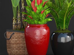 collection plants 3D Model