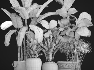 collection plants 3D Model