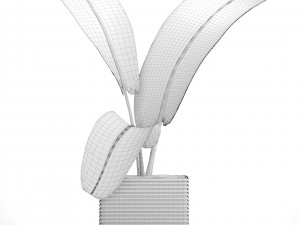 ravenala palm Modelo 3D