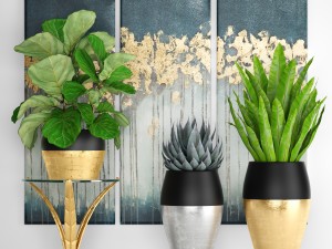 collection luxury plants 3D Model