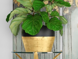 collection luxury plants 3D Model