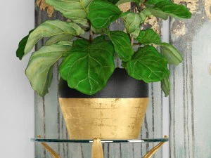 cole&ccedil;&atilde;o de plantas de luxo Modelo 3D