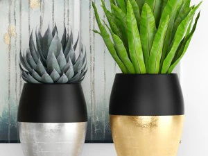 cole&ccedil;&atilde;o de plantas de luxo Modelo 3D