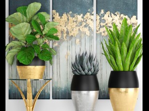 collection luxury plants 3D Model