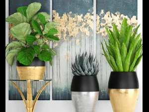 cole&ccedil;&atilde;o de plantas de luxo Modelo 3D