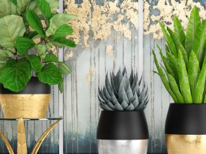 collection luxury plants 3D Model