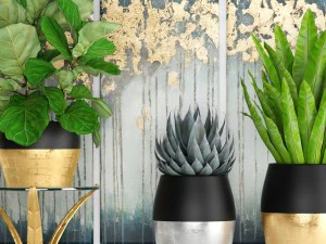 cole&ccedil;&atilde;o de plantas de luxo Modelo 3D