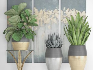 cole&ccedil;&atilde;o de plantas de luxo Modelo 3D