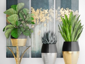 collection luxury plants 3D Model
