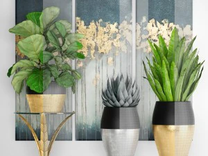 cole&ccedil;&atilde;o de plantas de luxo Modelo 3D