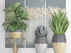 cole&ccedil;&atilde;o de plantas de luxo Modelo 3D