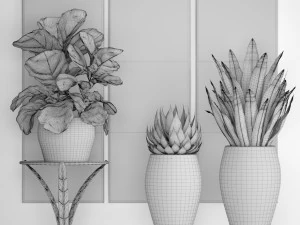 cole&ccedil;&atilde;o de plantas de luxo Modelo 3D