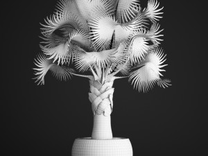 bismarckia nobilis 3D Модель