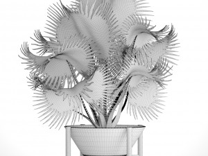 palm tree 3D 模型