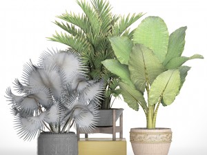 collection of tropical plants 3D मॉडल