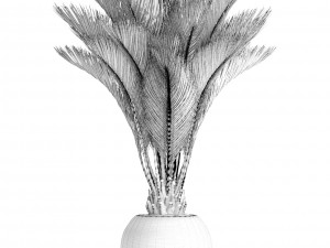 palm tree Modelo 3D