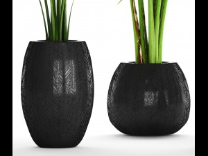 collection of tropical plants Modelo 3D