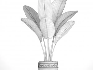 ravenala palm 3D Model