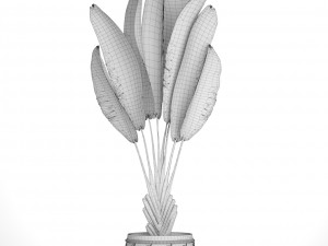 ravenala palm Modello 3D