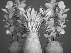 collection plants 3D Model