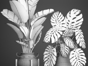 collection plants 3D Model