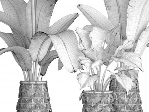 collection plants 3D Model