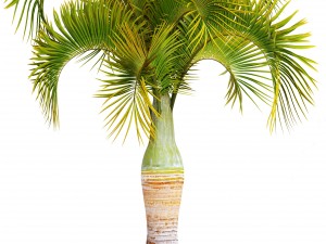 collection of tropical plants 3D Model
