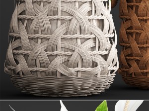 spathiphyllum plant 3D Model