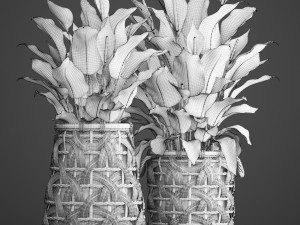 spathiphyllum plant 3D Model