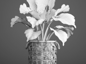 tropical plant in pot Modello 3D