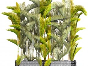 collection of tropical plants 3D Model