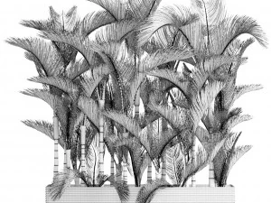 collection of tropical plants 3D Model