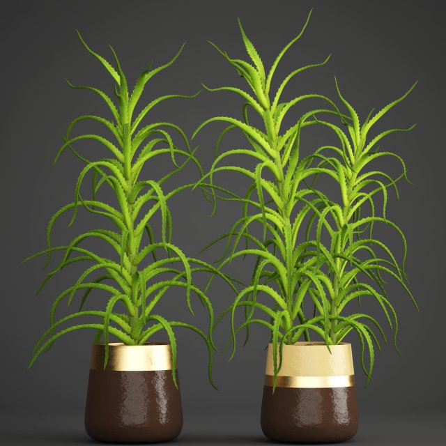 aloe vera plant in pot 3D Model .c4d .max .obj .3ds .fbx .stl .blend 