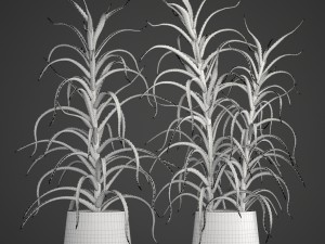aloe vera plant in pot 3D Model