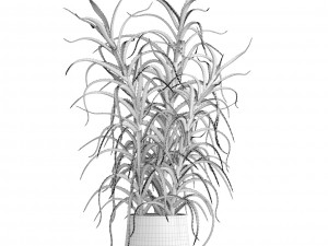 aloe vera plant in pot Model 3D