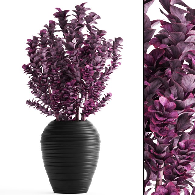 plant in pot berberis 3D Модель .c4d .max .obj .3ds .fbx .stl .blend 