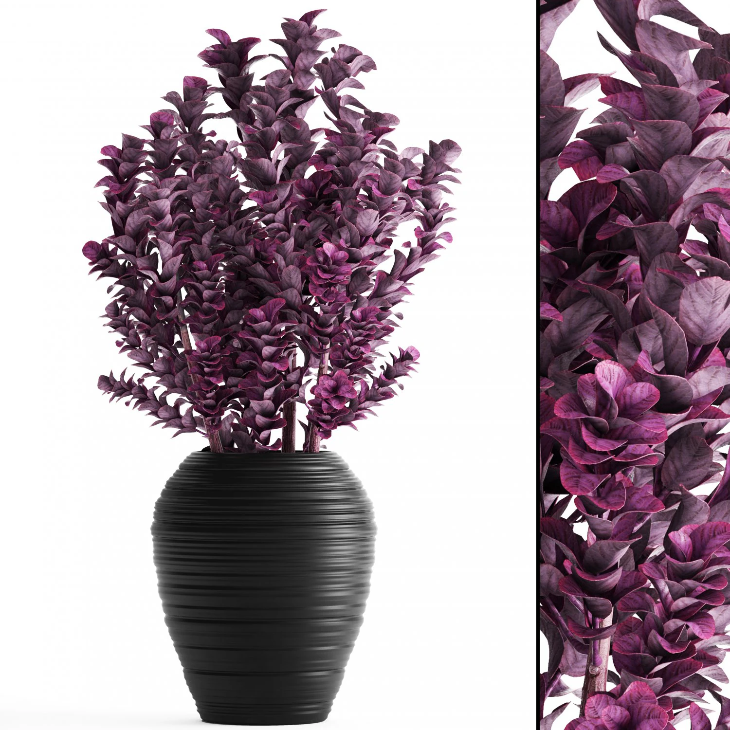 plant in pot berberis 3D Model .c4d .max .obj .3ds .fbx .stl .blend 