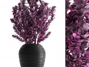 plant in pot berberis 3D 모델