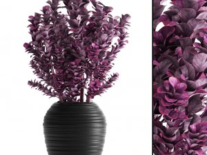 냄비에 식물 베르베리스 3D 모델