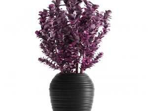 plant in pot berberis 3D Model