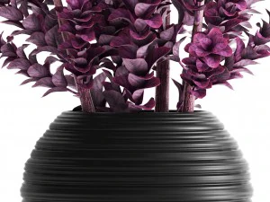 plant in pot berberis 3D Model