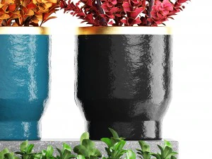 plant in pot berberis 3D Model