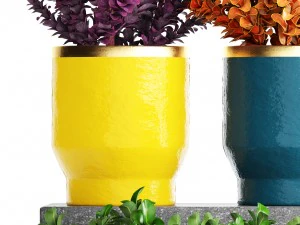 plant in pot berberis 3D Model