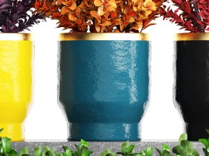plant in pot berberis 3D Model