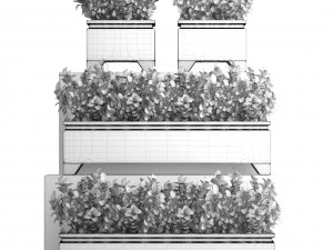 plant in pot berberis 3D Model