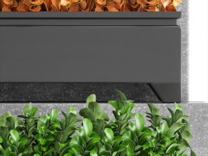 plant in pot berberis 3Dモデル