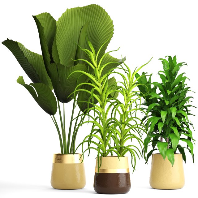 plant set 3D Model .c4d .max .obj .3ds .fbx .stl .blend 
